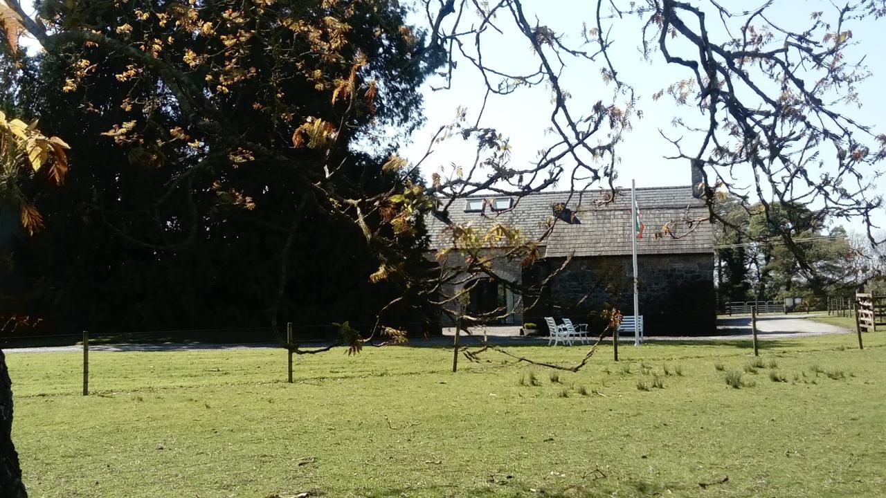 Augherea House Longford Exteriér fotografie